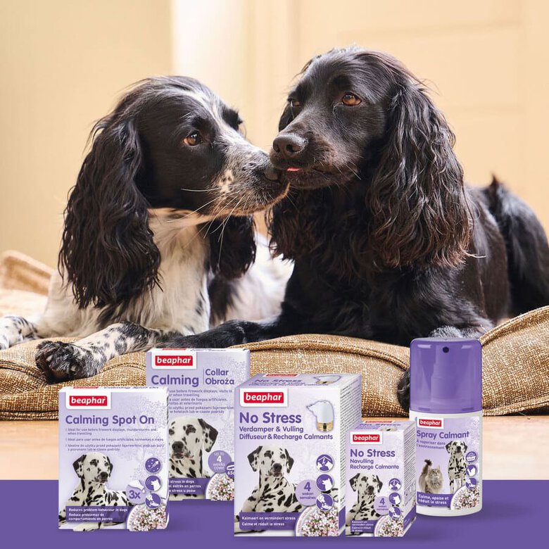 Beaphar Calming Spray Ambiente Relajante para gatos y perros, , large image number null